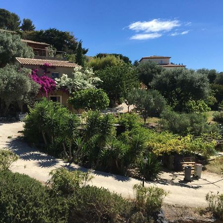 אוליאולה Les Terrasses Sur Mer מראה חיצוני תמונה